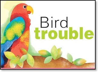 Bird-trouble